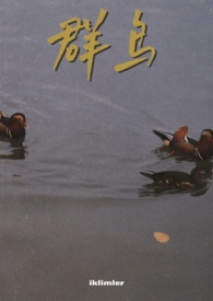 群鸟飞过湖面动静结合描写